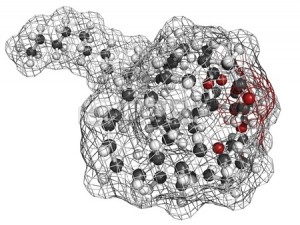 fish-oil-triglyceride